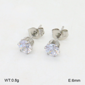 2E4004513ablb-226  Stainless Steel Earrings