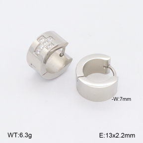 2E4004514vbnl-436  Stainless Steel Earrings