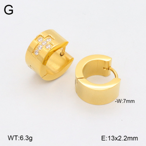 2E4004515abol-436  Stainless Steel Earrings