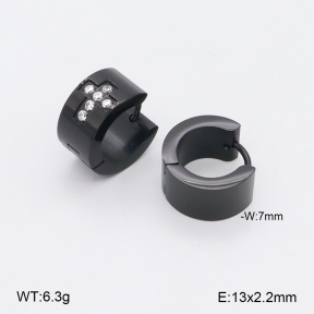 2E4004516abol-436  Stainless Steel Earrings