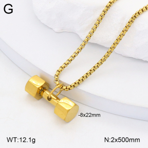 2N2006588ablb-704  Stainless Steel Necklace