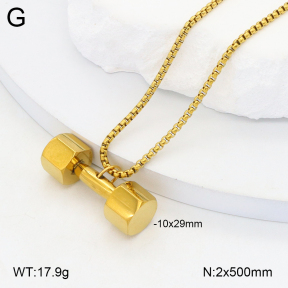 2N2006590ablb-704  Stainless Steel Necklace