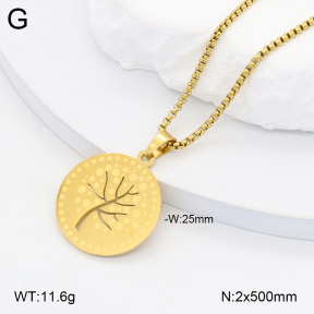 2N2006632aajl-704  Stainless Steel Necklace