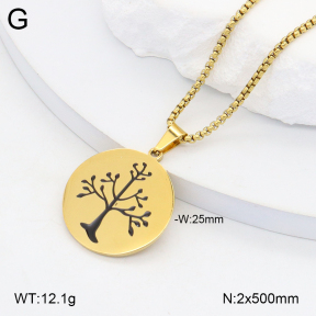 2N2006633aajl-704  Stainless Steel Necklace