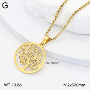 2N2006647aajl-704  Stainless Steel Necklace