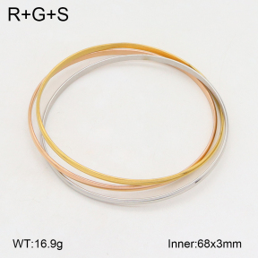 2BA202214abol-742  Stainless Steel Bangle