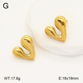 2E2006217bbml-742  Stainless Steel Earrings