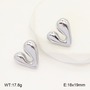 2E2006218vbll-742  Stainless Steel Earrings