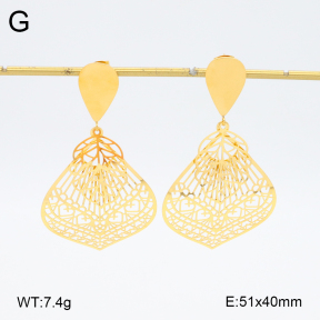 2E2006250bhia-628  Stainless Steel Earrings