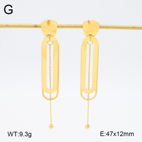 2E2006251bhia-628  Stainless Steel Earrings