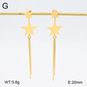 2E2006252bhva-628  Stainless Steel Earrings