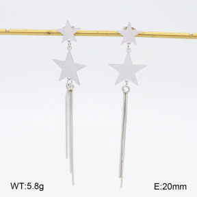 2E2006253bhva-628  Stainless Steel Earrings