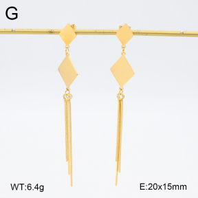 2E2006254bhva-628  Stainless Steel Earrings