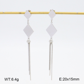 2E2006255bhva-628  Stainless Steel Earrings