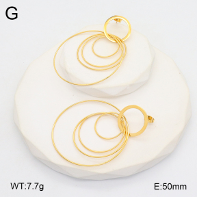 2E2006256bhia-628  Stainless Steel Earrings