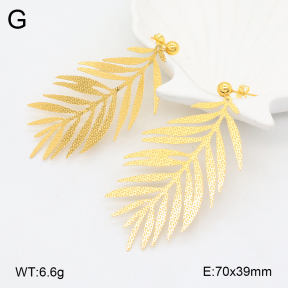 2E2006257bhia-628  Stainless Steel Earrings