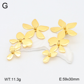 2E2006258bhia-628  Stainless Steel Earrings