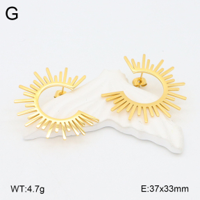 2E2006259bbov-628  Stainless Steel Earrings