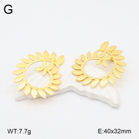 2E2006260bbov-628  Stainless Steel Earrings