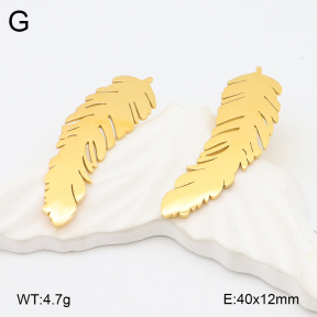 2E2006263bbov-628  Stainless Steel Earrings