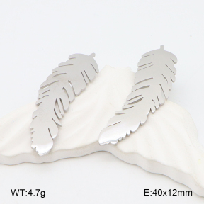 2E2006264bbov-628  Stainless Steel Earrings