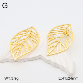 2E2006265bbov-628  Stainless Steel Earrings