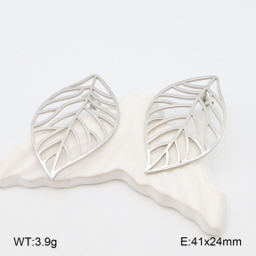 2E2006266bbov-628  Stainless Steel Earrings