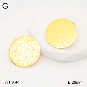 2E2006267bbov-628  Stainless Steel Earrings