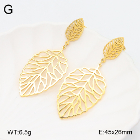 2E2006268bhva-628  Stainless Steel Earrings