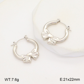 2E2006278baka-656  Stainless Steel Earrings