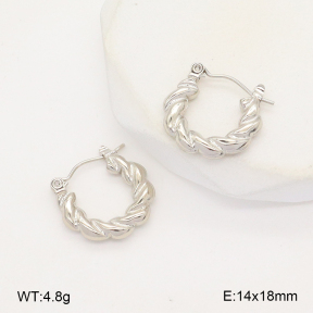 2E2006279aajl-656  Stainless Steel Earrings