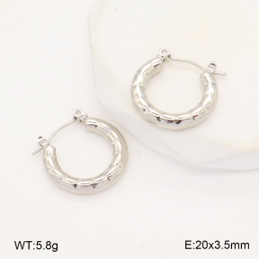 2E2006280aajl-656  Stainless Steel Earrings