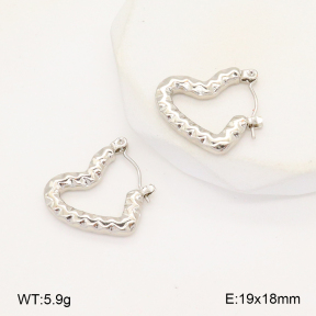 2E2006281aajl-656  Stainless Steel Earrings