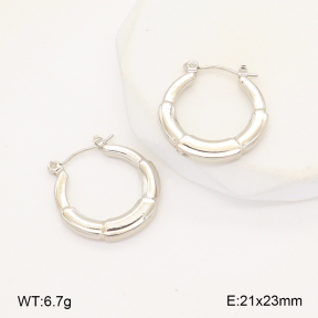 2E2006282aajl-656  Stainless Steel Earrings