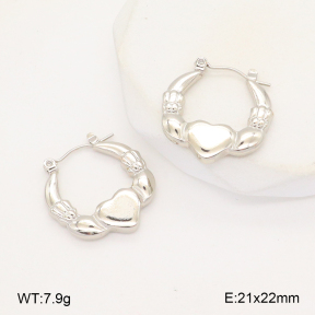 2E2006283baka-656  Stainless Steel Earrings