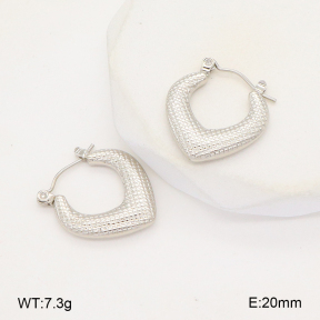 2E2006284baka-656  Stainless Steel Earrings