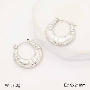 2E2006285aajl-656  Stainless Steel Earrings