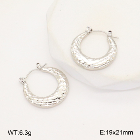 2E2006286aajl-656  Stainless Steel Earrings