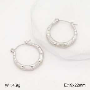 2E2006287aajl-656  Stainless Steel Earrings