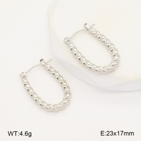 2E2006288aajl-656  Stainless Steel Earrings