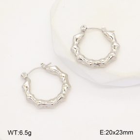 2E2006289baka-656  Stainless Steel Earrings
