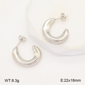 2E2006290baka-656  Stainless Steel Earrings