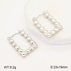 2E2006291aajl-656  Stainless Steel Earrings