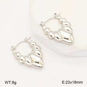 2E2006292aajl-656  Stainless Steel Earrings