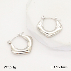 2E2006293aajl-656  Stainless Steel Earrings
