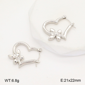 2E2006294aajl-656  Stainless Steel Earrings