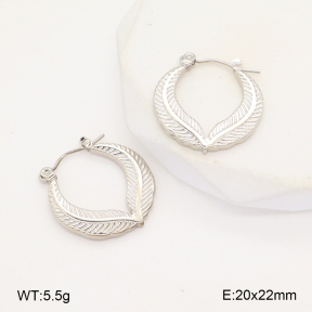 2E2006295aajl-656  Stainless Steel Earrings