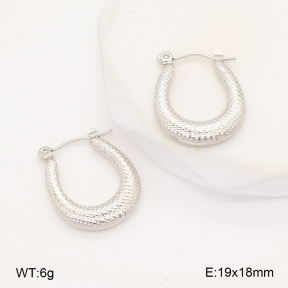 2E2006296aajl-656  Stainless Steel Earrings