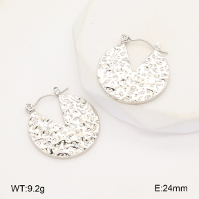 2E2006297aajl-656  Stainless Steel Earrings