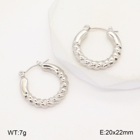 2E2006298aajl-656  Stainless Steel Earrings